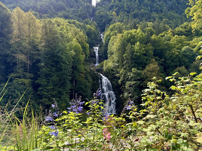 Picture 43 of Giessbach Falls Trail