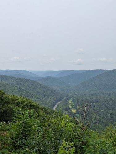 Picture 2 of Gillespie point