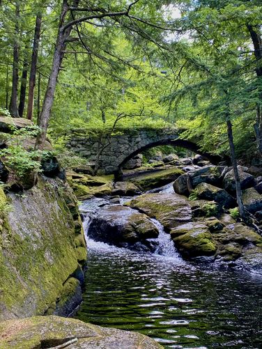 Gleason Falls and scenic stone bridge
