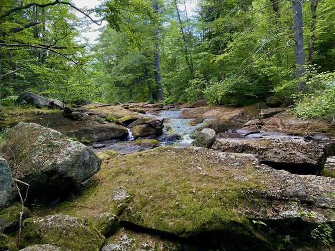 Upstream cascade at Gleason Falls