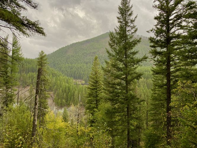View of mountains above the Middle Fork Flathead River