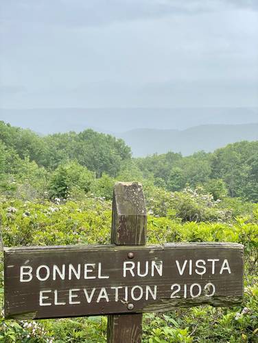 Bonnell Run Vista