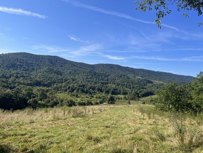 Default image for Golden Winged Warbler Hike, a 8.1-mile trail in Ceres, VA (US)