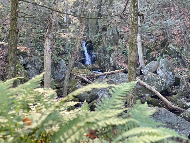 View of the bottom tier of Goldmine Brook Falls, approx 10-feet tall