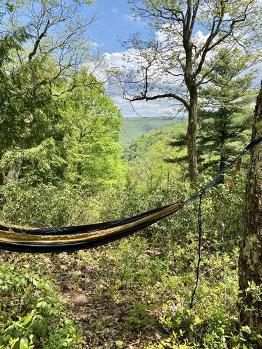 Gore Vista with hammock