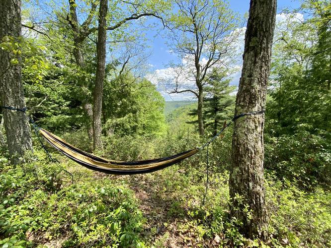 Gore Vista with hammock