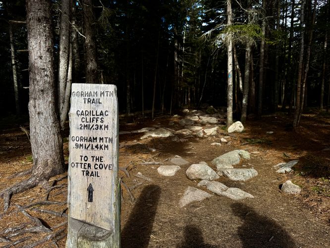 Gorham Mountain Trailhead