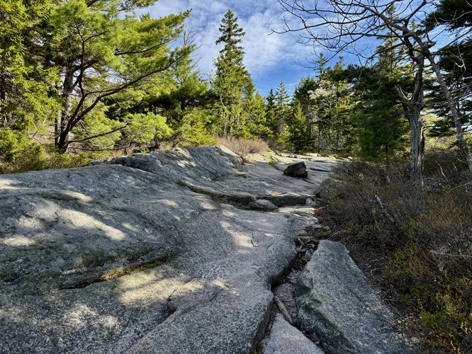 Moderate-sloped bedrock makes up th Gorham Mountain Trail