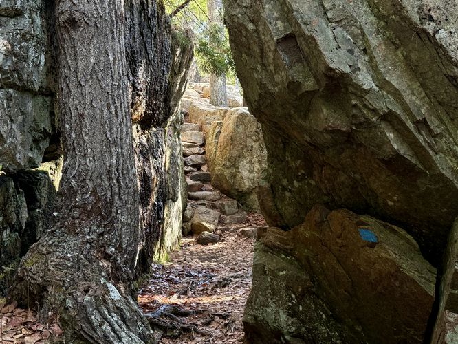 Scenic rock steps lead up through the Cadillac Cliffs