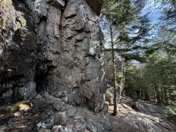 Tall cliffs with evergreens growing alongside