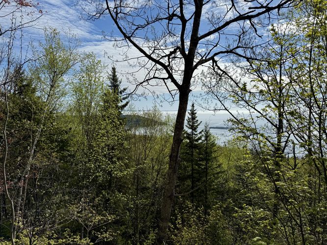 Obstructed view from the Cadillac Cliffs Trail