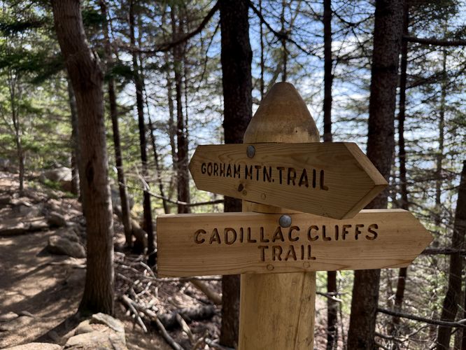 Trail sign at junction