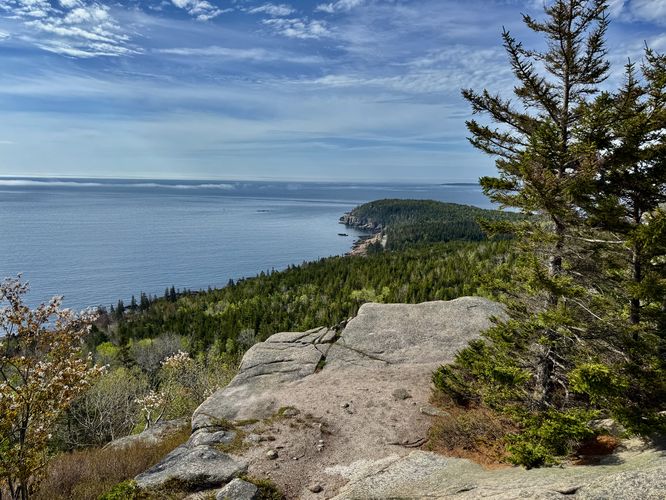 Default image for Gorham Mountain and Cadillac Cliffs Hike, a 1.8-mile trail in Bar Harbor, ME (US)