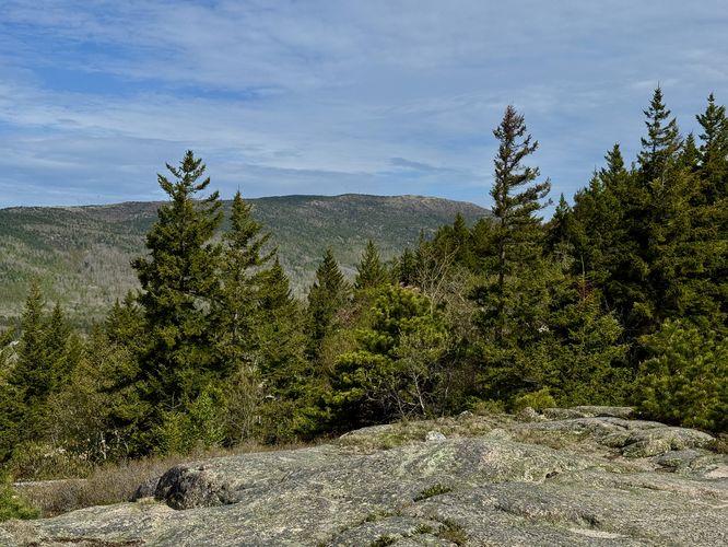 View of Cadillac Mountain
