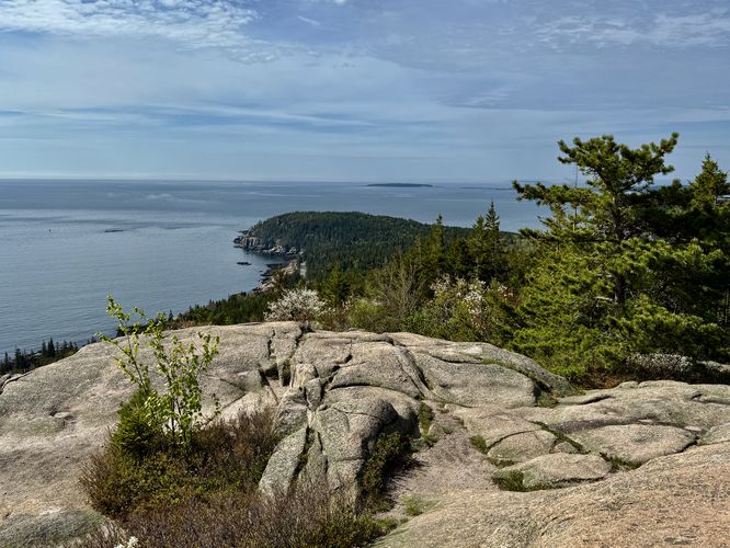 One last view of Otter Point