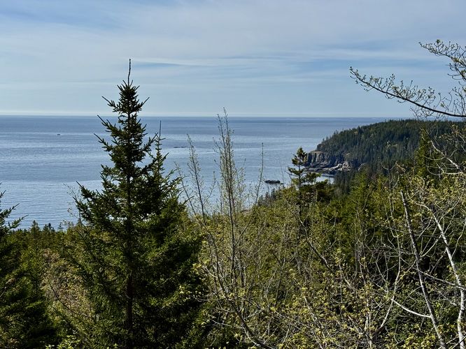 View of the Otter Cliffs