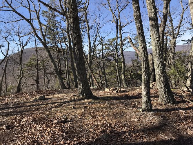 Picture 2 of Goshen Pass and Jump Rock Hike 030918