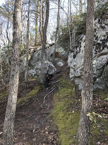 Picture 15 of Goshen Pass and Jump Rock Hike 030918