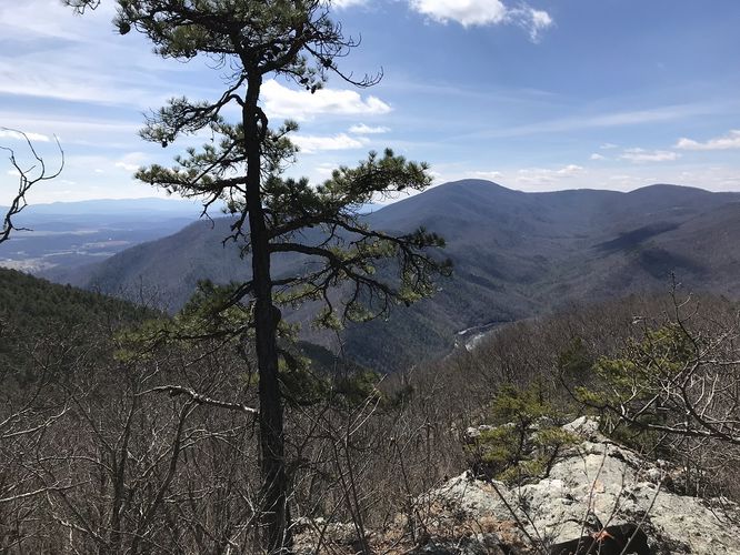 Picture 16 of Goshen Pass and Jump Rock Hike 030918