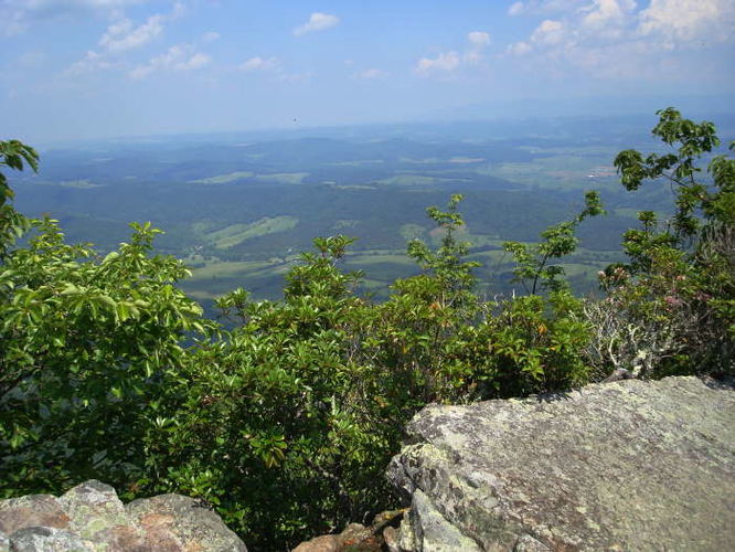 Picture 28 of Goshen Pass and Jump Rock Hike 060310