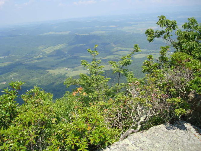 Picture 30 of Goshen Pass and Jump Rock Hike 060310
