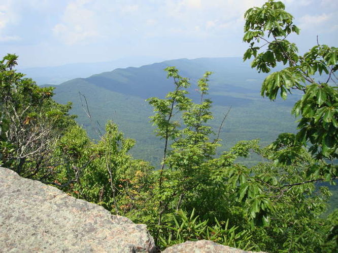 Picture 31 of Goshen Pass and Jump Rock Hike 060310