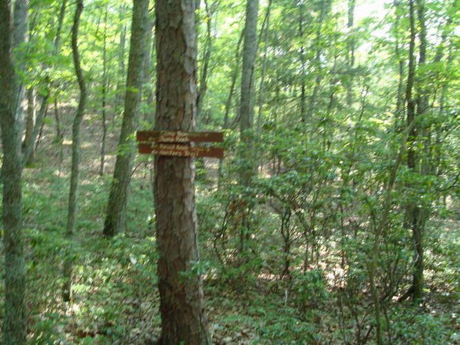 Picture 47 of Goshen Pass and Jump Rock Hike 060310
