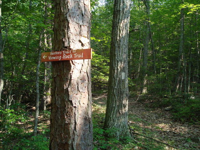 Picture 48 of Goshen Pass and Jump Rock Hike 060310
