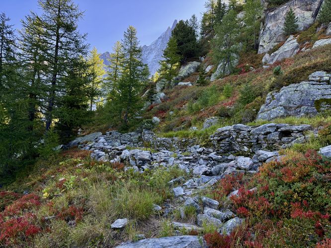 Foundation of a long-abandoned mountain hut