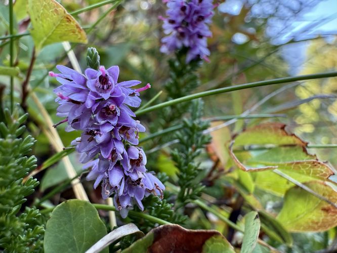 Picture 42 of Grand Balcon Nord Hike