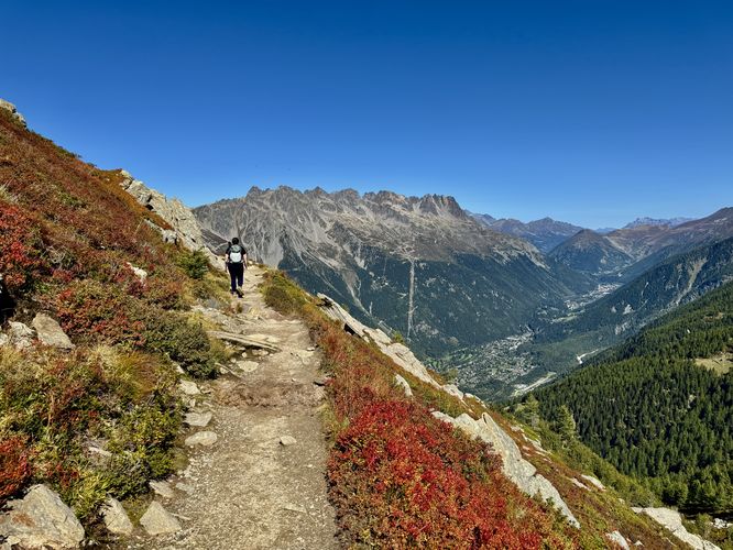 Autumn foliage in blueberry bushes with a view of Chamonix and the Aiguilles Rouges (Red Needles) massif in the background