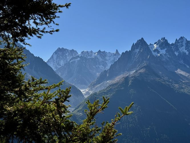Shaded view of the Grandes Jorasses