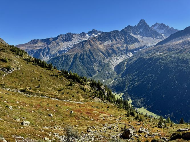 View of Glacier du Tour (left) and Argentière Glacier (right)