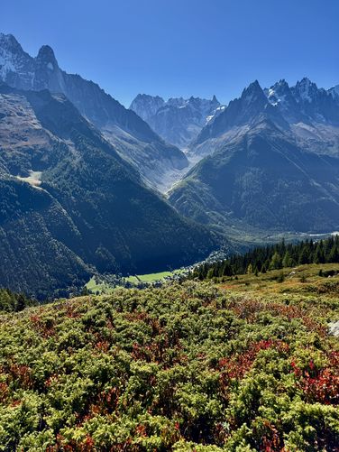 View of the Grandes Jorasses and Mer de Glace