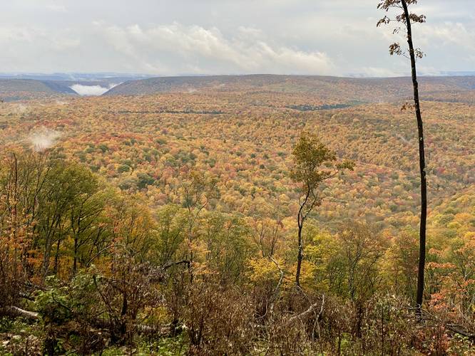 Foliage and a view into the PA Grand Canyon from Grand View, Oct 13 2022