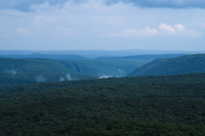 View of fog lifting from Pine Creek Gorge (PA Grand Canyon) near Red Ledge with a view of Pine Island Vistas rocky ledges. Tannery Hill poking up on the left-hand side