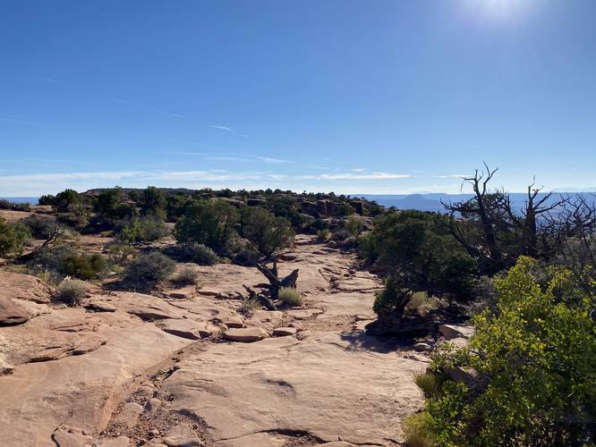 Trail leads through low scrubland