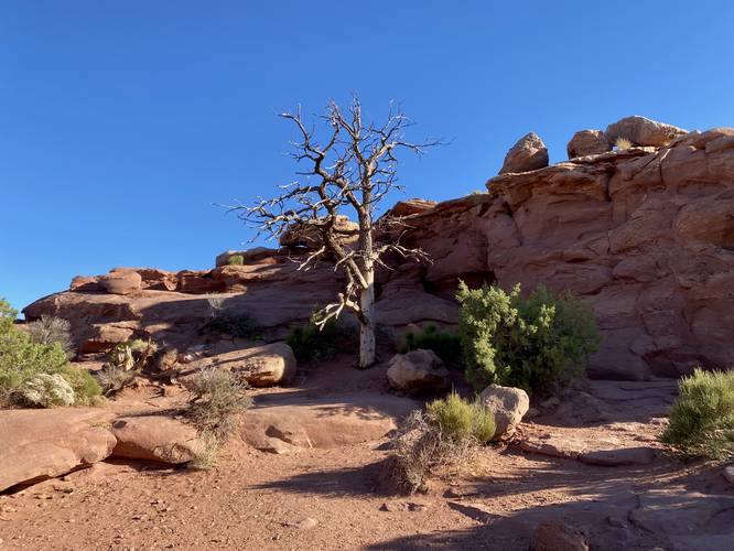 Scramble to the top of the rock leads to another vantage point at Grand View Point