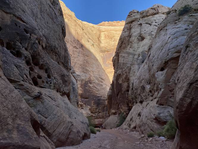 Hikers in The Narrows of Grand Wash