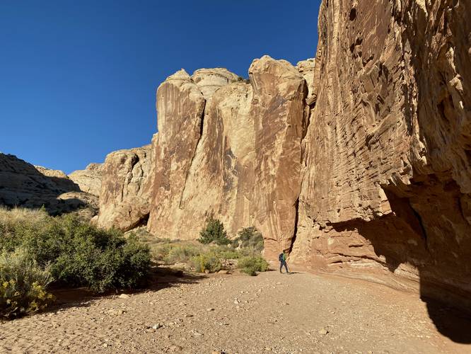 Picture 10 of Grand Wash to The Narrows