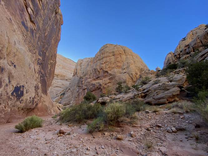  Hiking up Grand Wash at Capitol Reef National Park