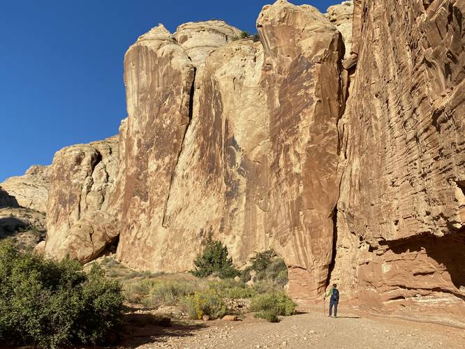 Picture 11 of Grand Wash to The Narrows