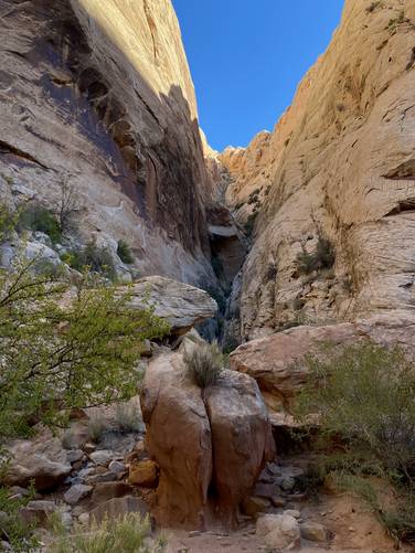 Narrow canyon leads out of Grand Wash
