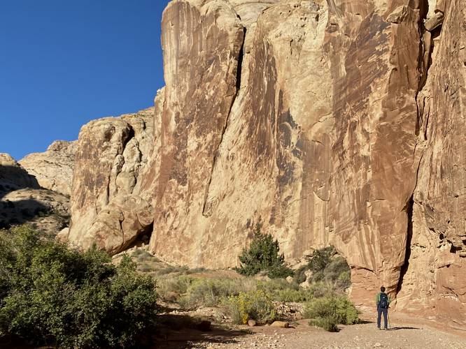 Picture 9 of Grand Wash to The Narrows