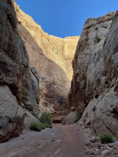 Hikers in The Narrows of Grand Wash