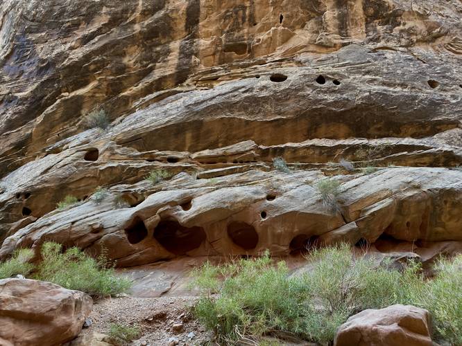 Grand Wash rock formations