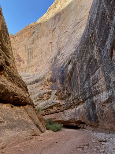 Hiking  The Narrows of Grand Wash