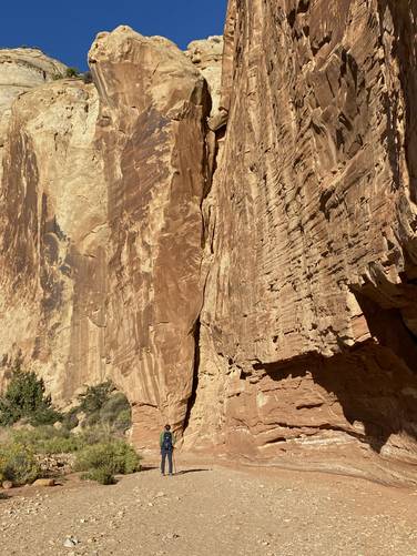 Picture 8 of Grand Wash to The Narrows