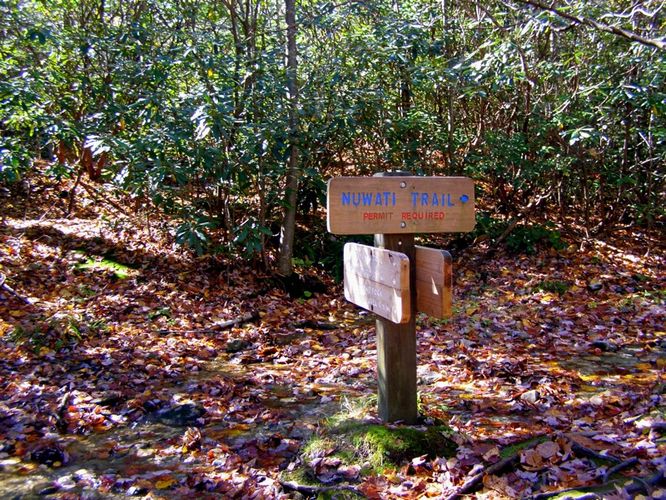 Picture 13 of Grandfather Mountain and Daniel Boone Hike 101714