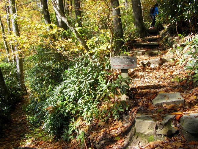 Picture 14 of Grandfather Mountain and Daniel Boone Hike 101714